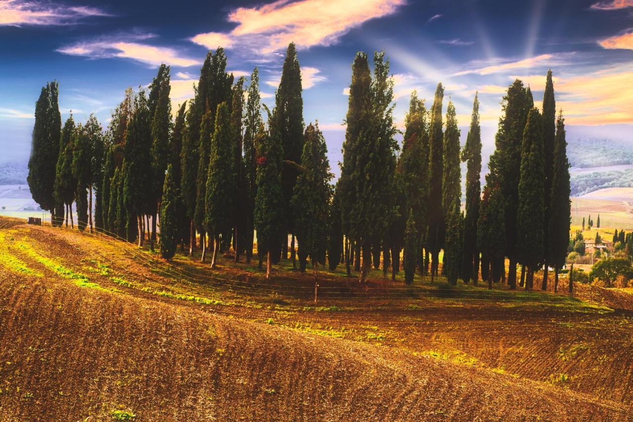 Podere Pietreta Radicofani Bagian luar foto